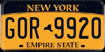 NY license plate GOR9920
