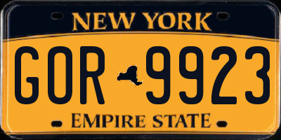 NY license plate GOR9923