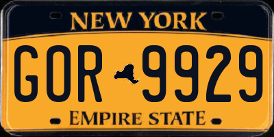 NY license plate GOR9929