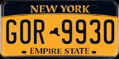 NY license plate GOR9930