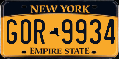 NY license plate GOR9934