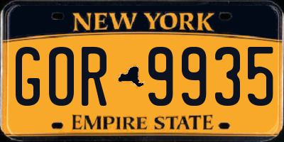 NY license plate GOR9935