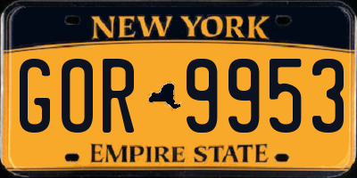 NY license plate GOR9953