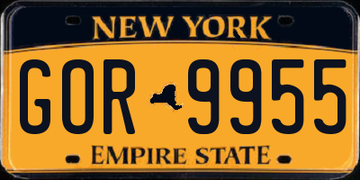 NY license plate GOR9955