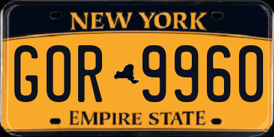 NY license plate GOR9960