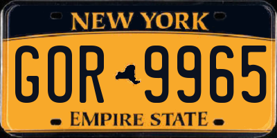NY license plate GOR9965