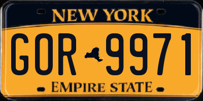 NY license plate GOR9971