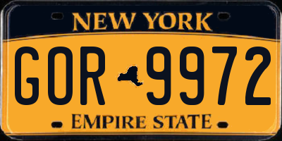 NY license plate GOR9972