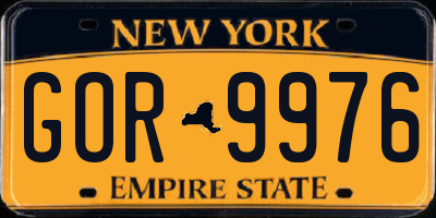 NY license plate GOR9976