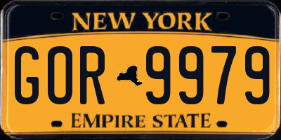 NY license plate GOR9979