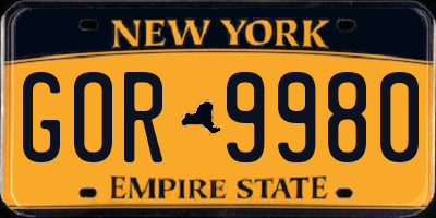 NY license plate GOR9980