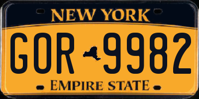 NY license plate GOR9982