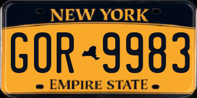NY license plate GOR9983