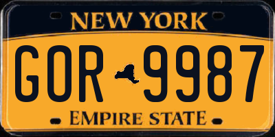 NY license plate GOR9987