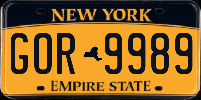 NY license plate GOR9989