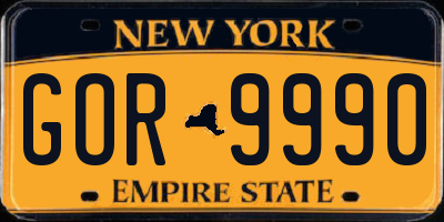 NY license plate GOR9990