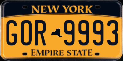 NY license plate GOR9993