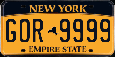 NY license plate GOR9999