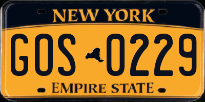 NY license plate GOS0229