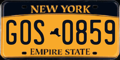 NY license plate GOS0859