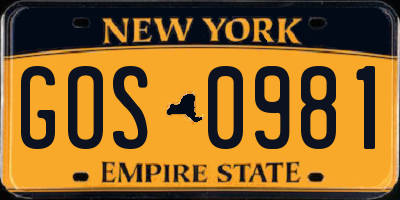 NY license plate GOS0981