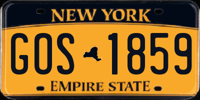 NY license plate GOS1859