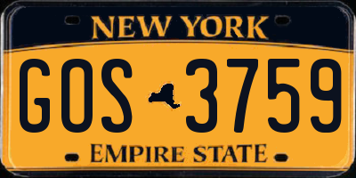 NY license plate GOS3759