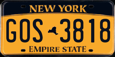 NY license plate GOS3818