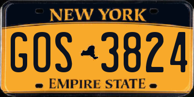 NY license plate GOS3824