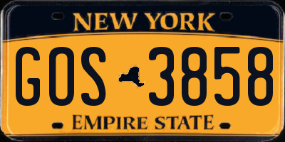 NY license plate GOS3858