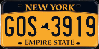 NY license plate GOS3919