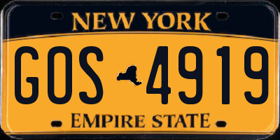 NY license plate GOS4919