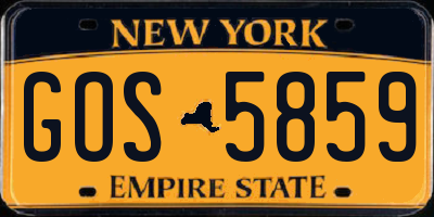 NY license plate GOS5859