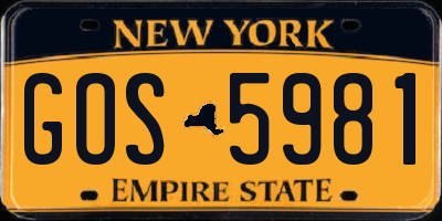 NY license plate GOS5981