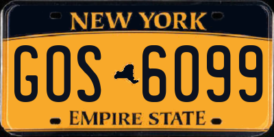 NY license plate GOS6099