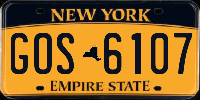 NY license plate GOS6107