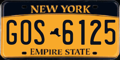 NY license plate GOS6125
