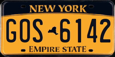 NY license plate GOS6142