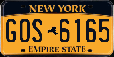 NY license plate GOS6165