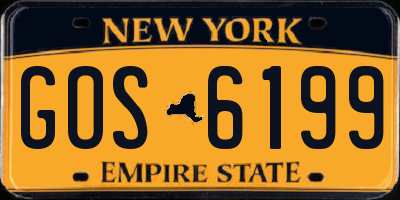 NY license plate GOS6199