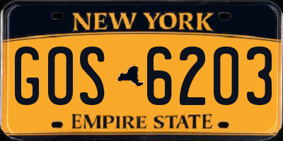 NY license plate GOS6203