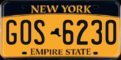 NY license plate GOS6230