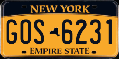 NY license plate GOS6231