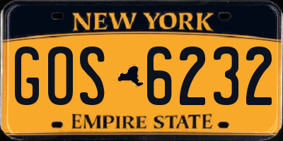 NY license plate GOS6232
