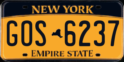 NY license plate GOS6237
