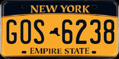 NY license plate GOS6238