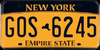 NY license plate GOS6245