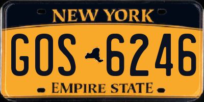 NY license plate GOS6246