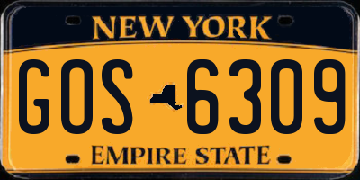 NY license plate GOS6309