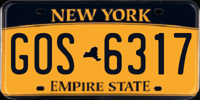 NY license plate GOS6317